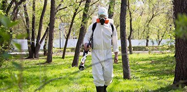 Лицензирование акарицидной обработки — гарантия экологической безопасности на кладбищах Челябинска